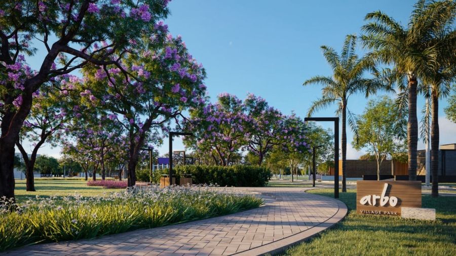 Terreno - Venda - Camobi - Santa Maria - RS