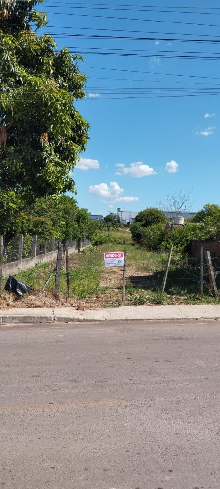 Terreno - Venda - S�o Jo�o - Santa Maria - RS